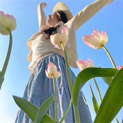 郁金香芳芳