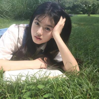 美人追
